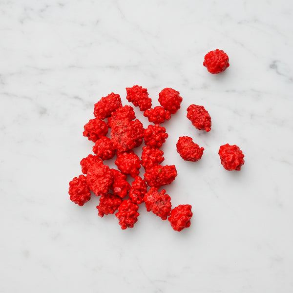 French Burnt Peanuts - palmer-candy